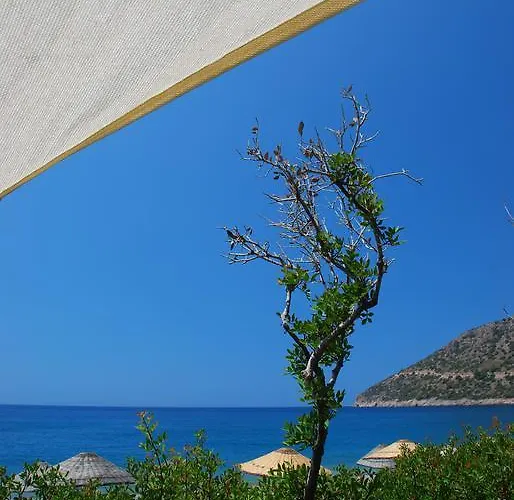 Bed & Breakfast Hoppala Datça