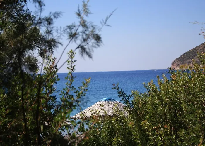 Bed & Breakfast Hoppala