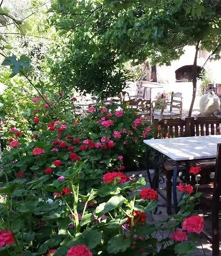 Bed & Breakfast Hoppala Datça