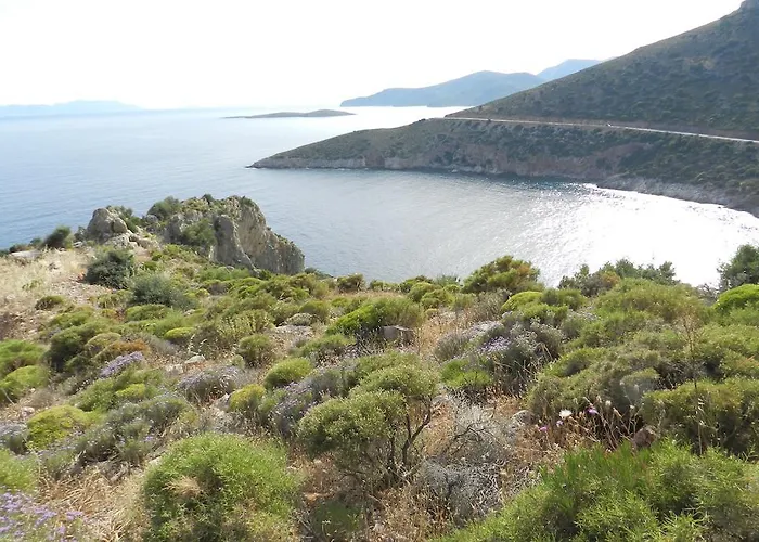 Bed & Breakfast Hoppala 3*