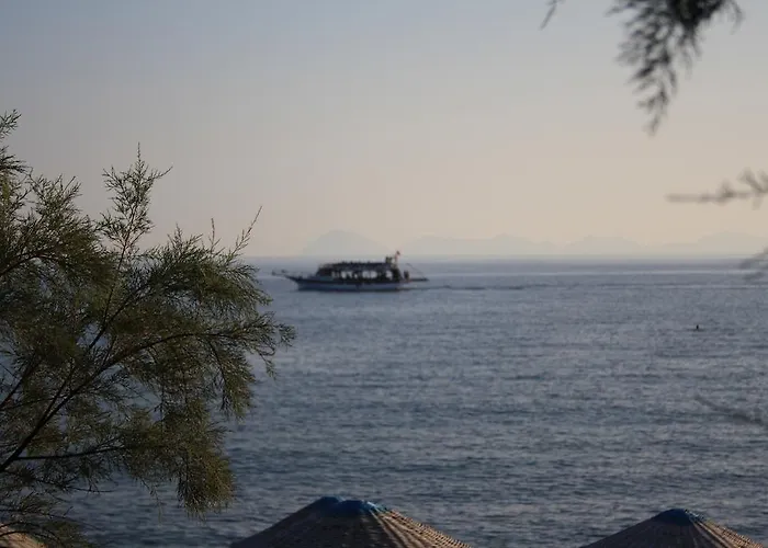 Bed & Breakfast Hoppala 3*