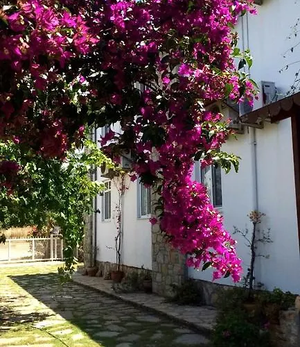 Bed & Breakfast Hoppala 3*